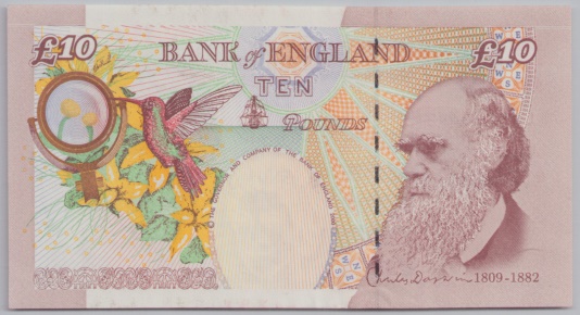 [Resmi Tam Görüntüle]