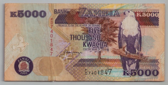 [Resmi Tam Görüntüle]