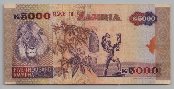 [Resmi Tam Görüntüle]