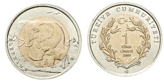 [Resmi Tam Görüntüle]