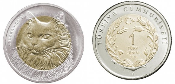 [Resmi Tam Görüntüle]