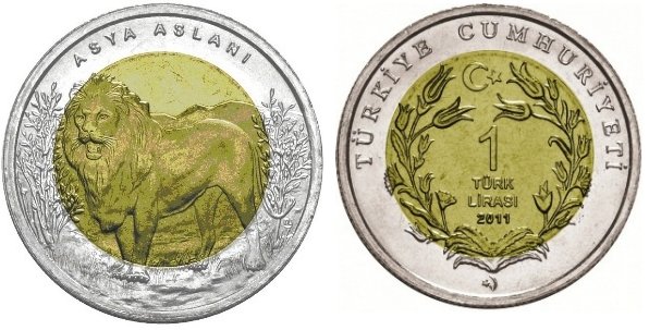 [Resmi Tam Görüntüle]