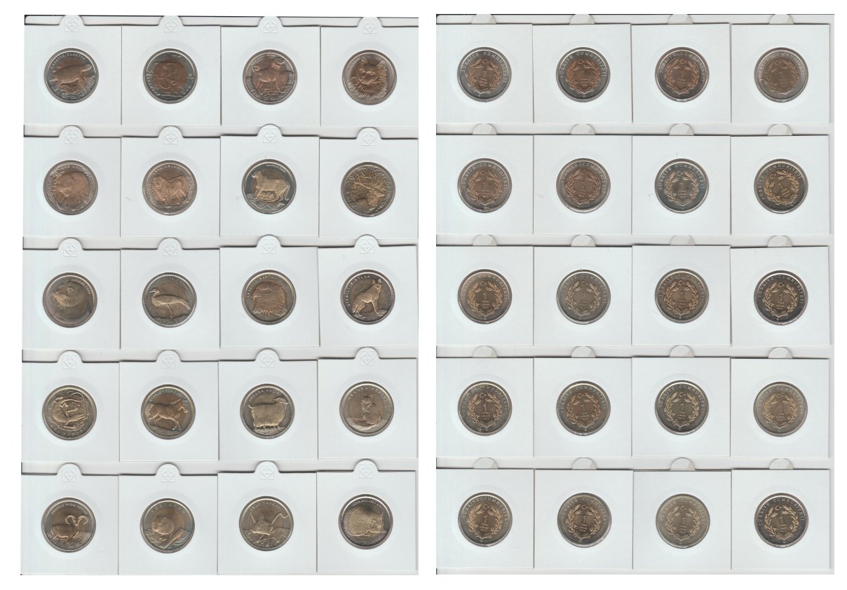 [Resmi Tam Görüntüle]