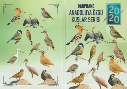 [Resmi Tam Görüntüle]