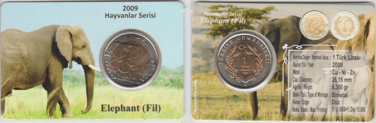 [Resmi Tam Görüntüle]