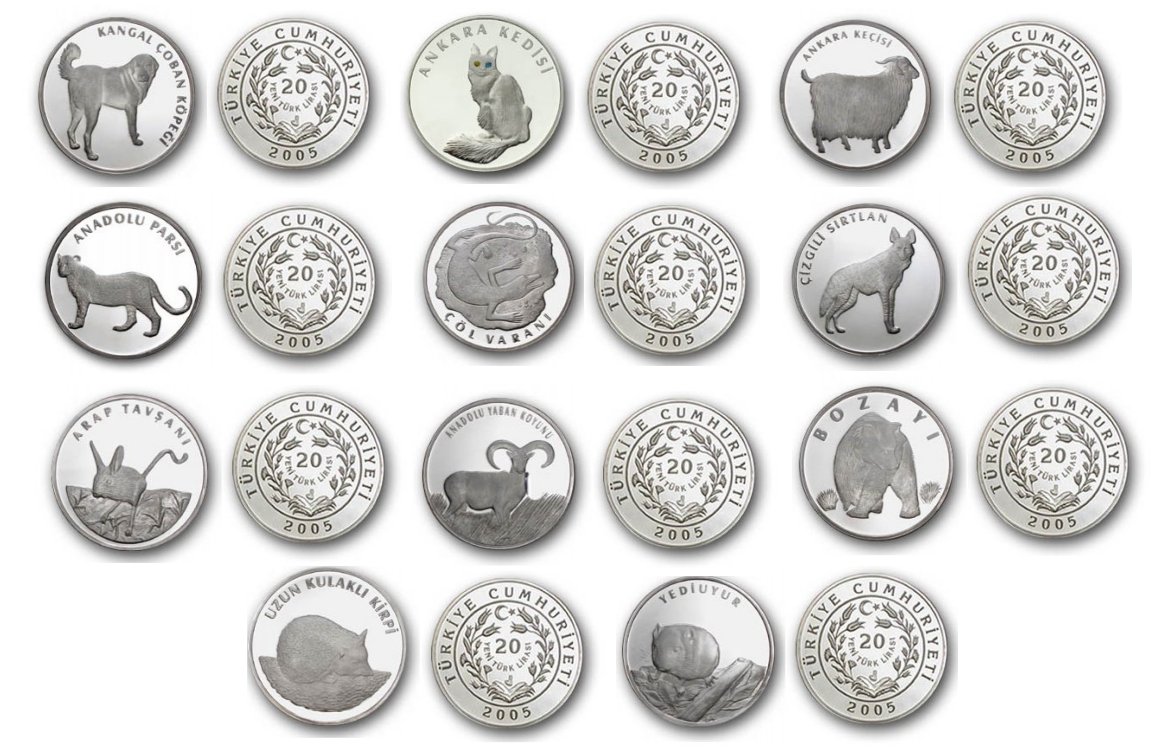 [Resmi Tam Görüntüle]