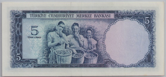 [Resmi Tam Görüntüle]