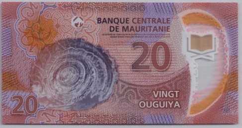 [Resmi Tam Görüntüle]