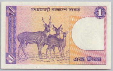 [Resmi Tam Görüntüle]