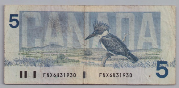 [Resmi Tam Görüntüle]