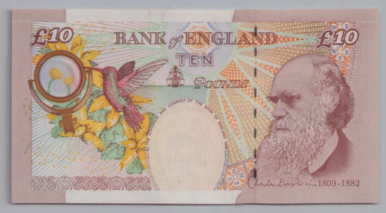 [Resmi Tam Görüntüle]