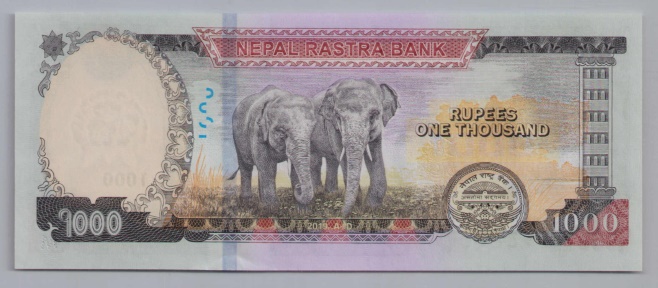 [Resmi Tam Görüntüle]