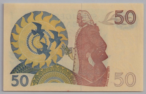 [Resmi Tam Görüntüle]