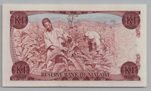 [Resmi Tam Görüntüle]