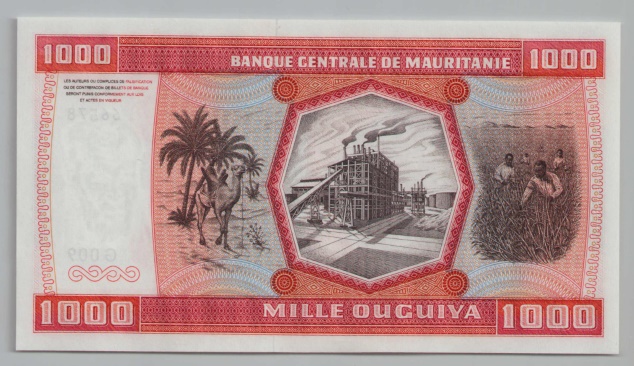 [Resmi Tam Görüntüle]