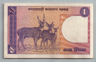 [Resmi Tam Görüntüle]